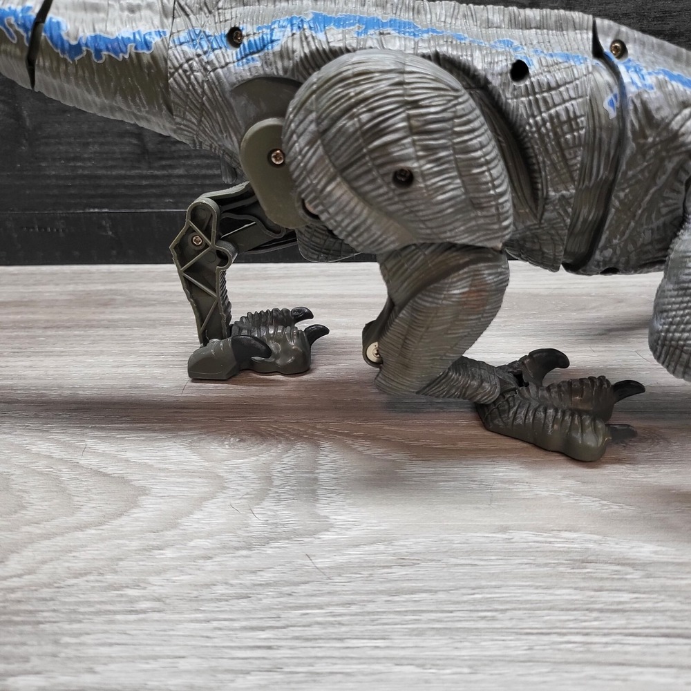 Remote Controlled Raptor No Remote! Tested! - Picture 7 of 16